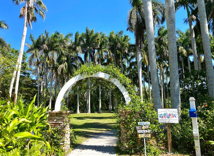 Palma Sola Botanical Park, United States